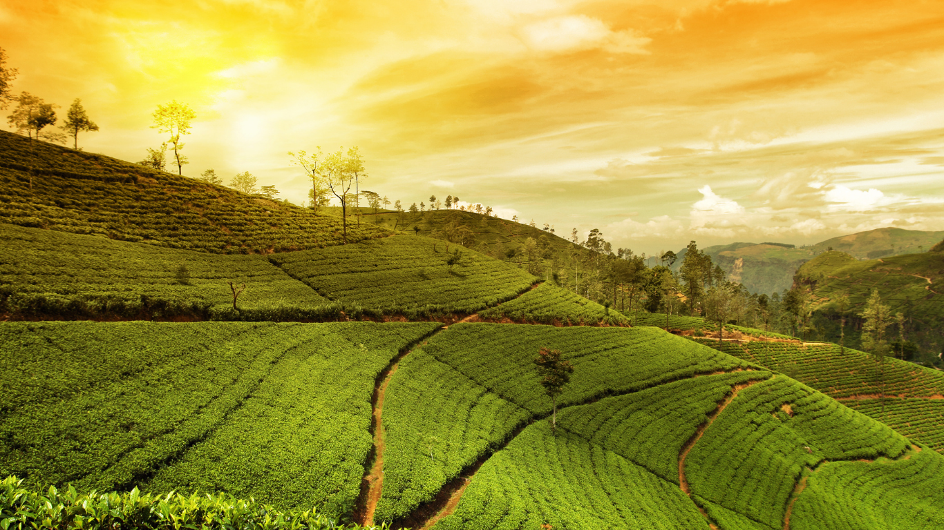 Sikkim & Darjeeling