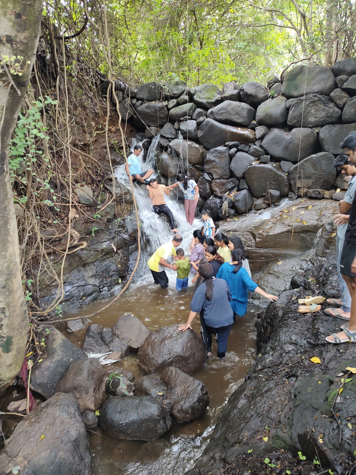 Mhakoshi (Bhor)- Backwater view resort with private water fall, Stay & 100 + Exclusive Plants