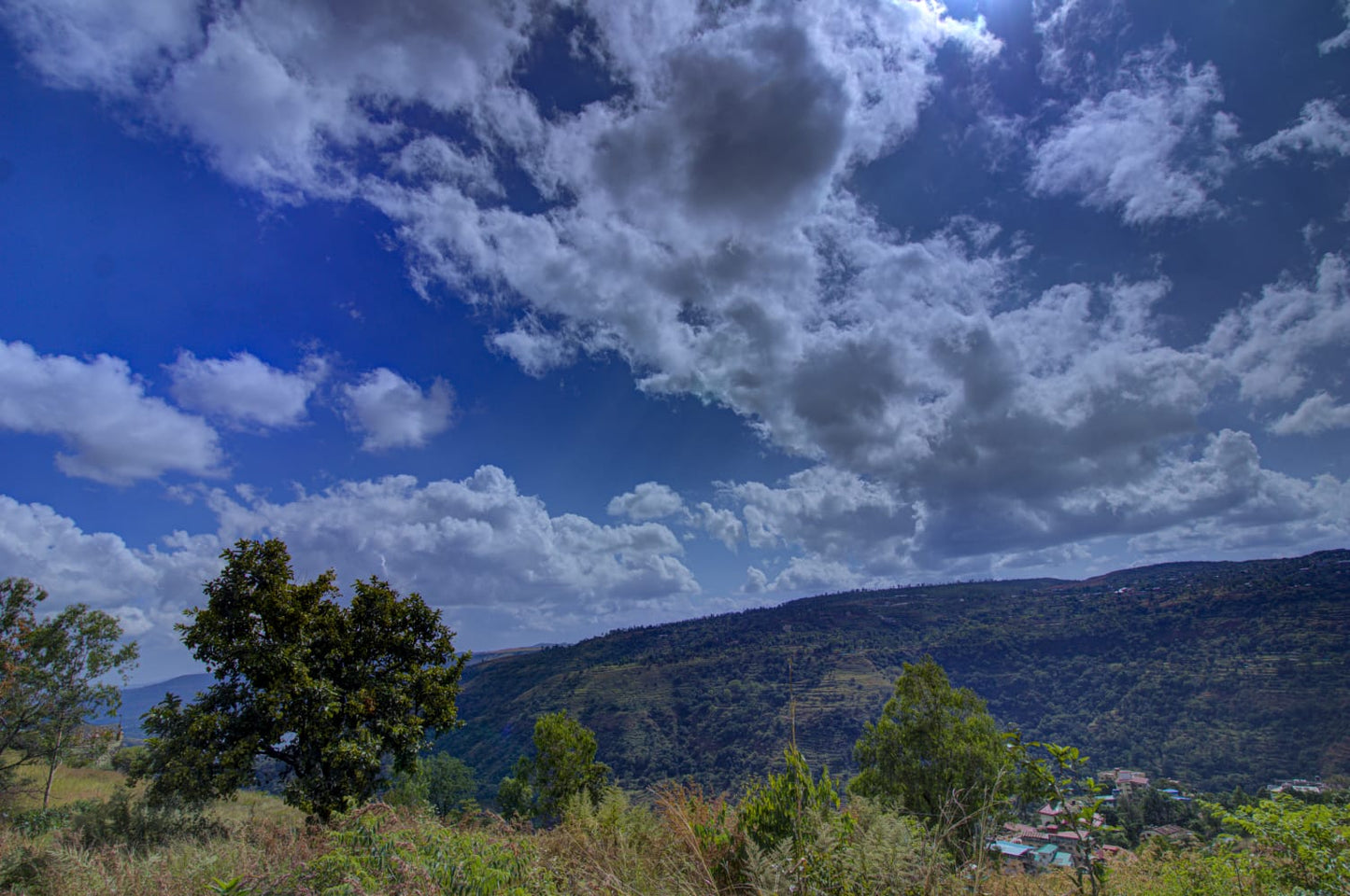 8 BHK - Mountain View ( No - 8)