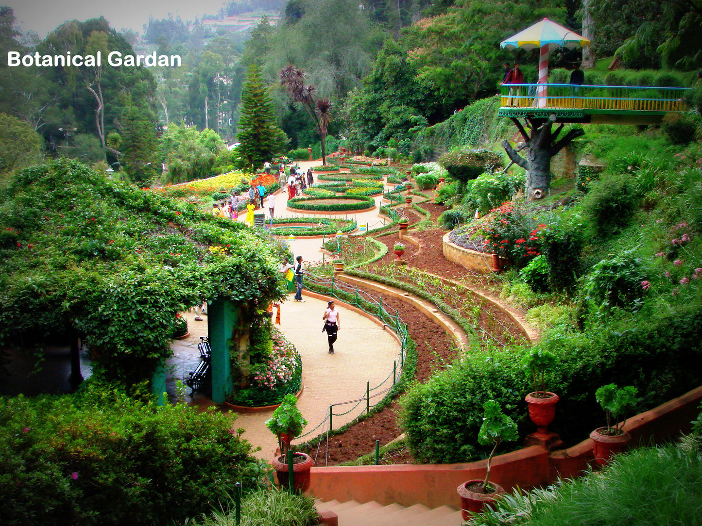 Ooty (Queen of hill stations):-3Nights / 4Days: Stay in 3 Star Hotel + Ooty-Coonoor Sightseeing  & More!