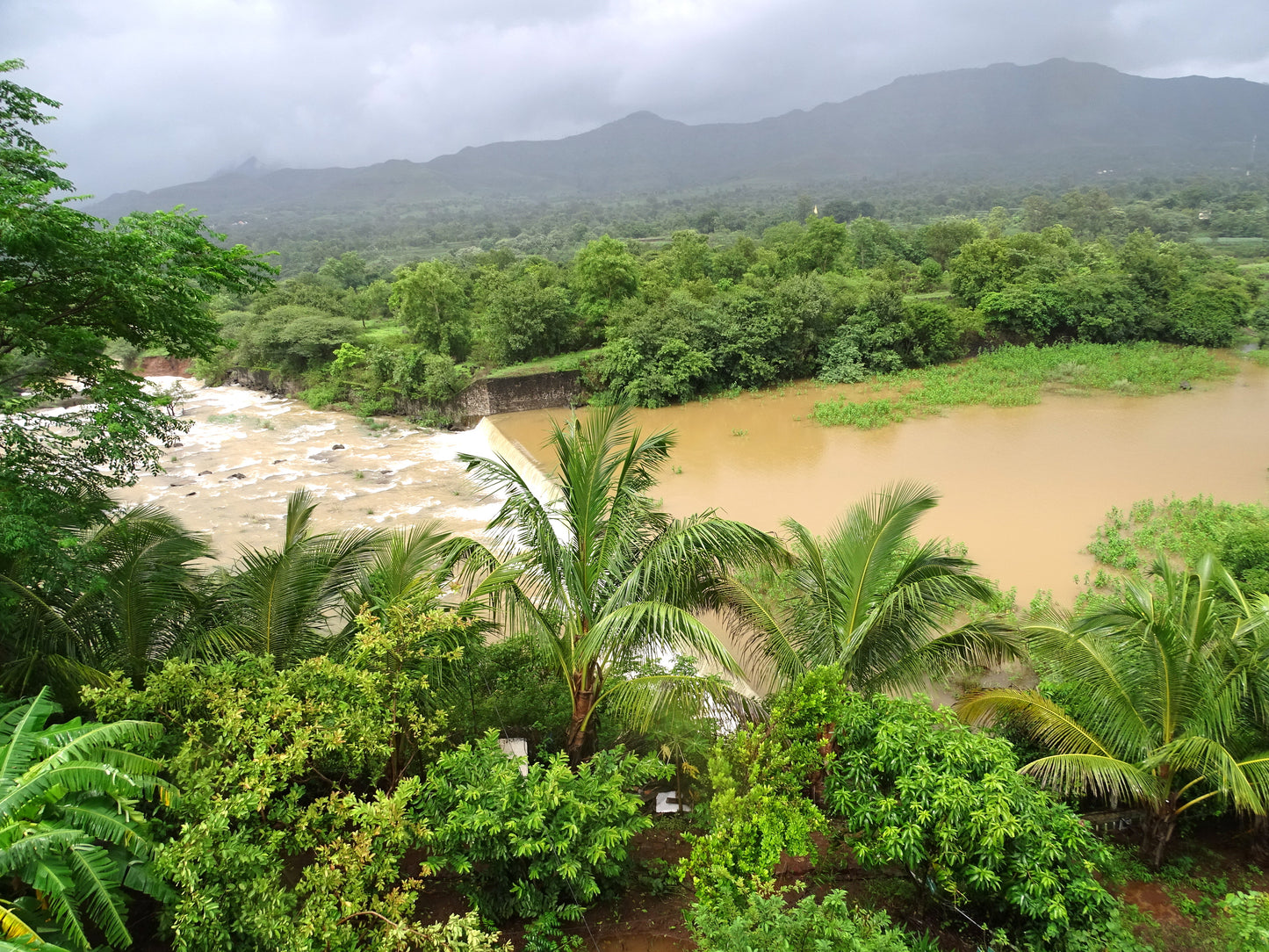 5BHK Non-AC (+1child bedroom) Villa (Backwater view ) (Bungalow No - # 8)
