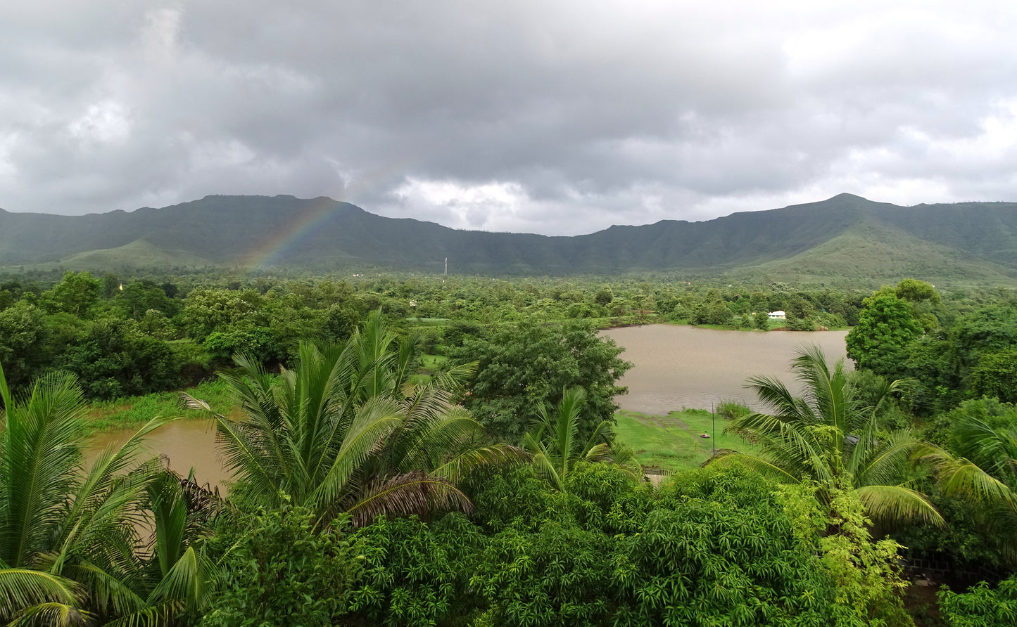 5BHK Non-AC (+1child bedroom) Villa (Backwater view ) (Bungalow No - # 8)