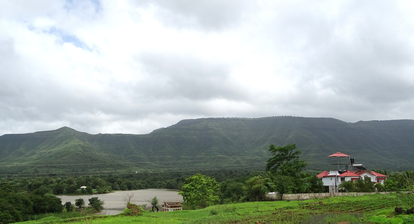5BHK Non-AC (+1child bedroom) Villa (Backwater view ) (Bungalow No - # 8)