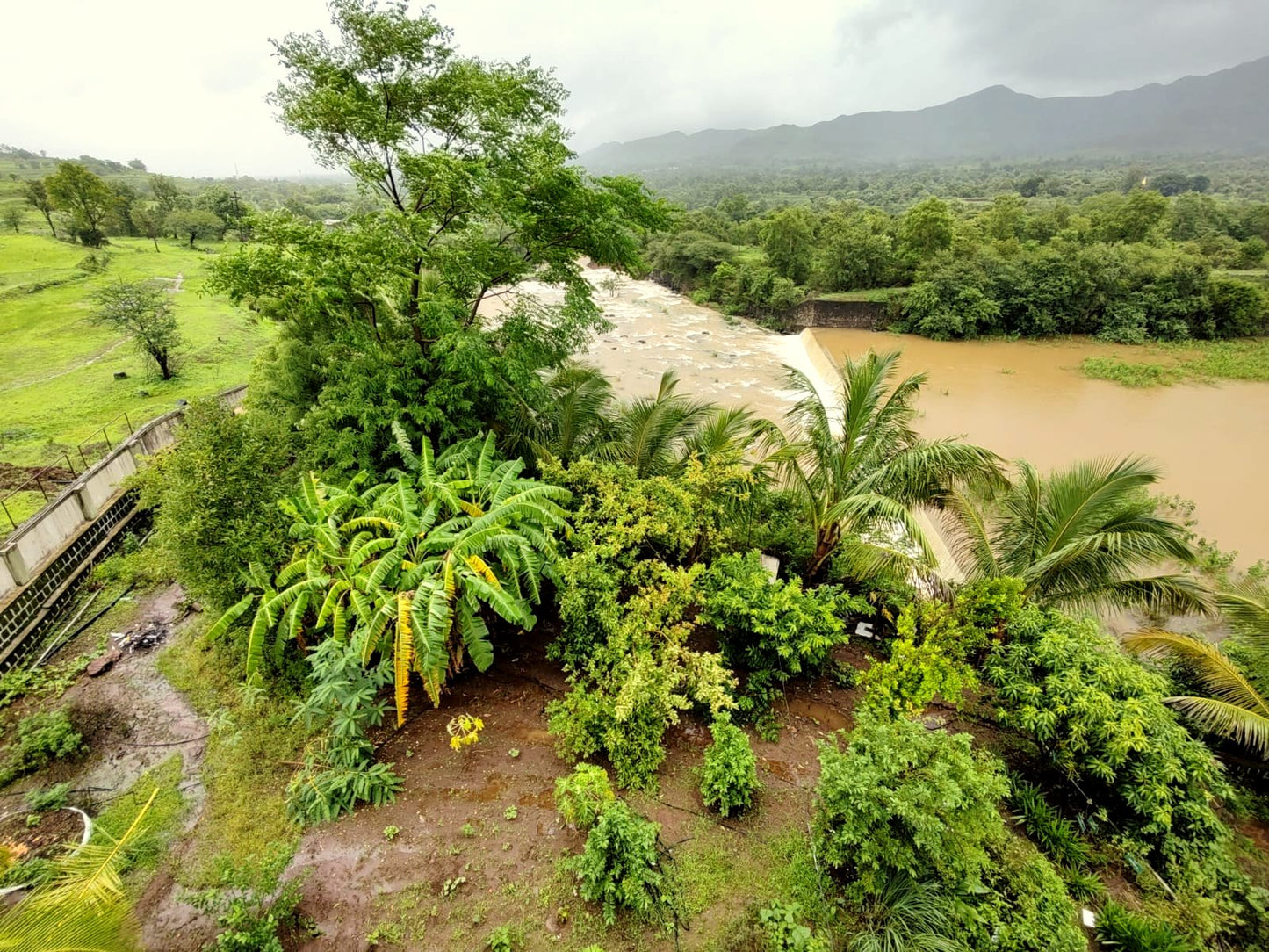 5BHK Non-AC (+1child bedroom) Villa (Backwater view ) (Bungalow No - # 8)