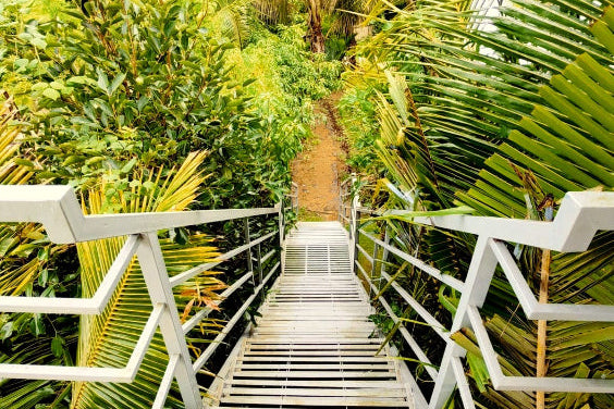 Mhakoshi (Bhor)- Backwater view resort
