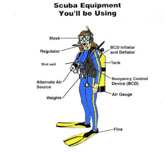 Tarkarli: Scuba Diving & Adventure Water Sports.