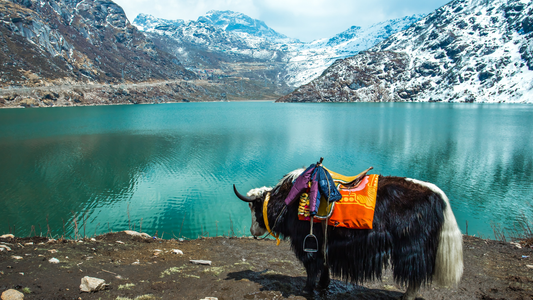 Sikkim & Darjeeling