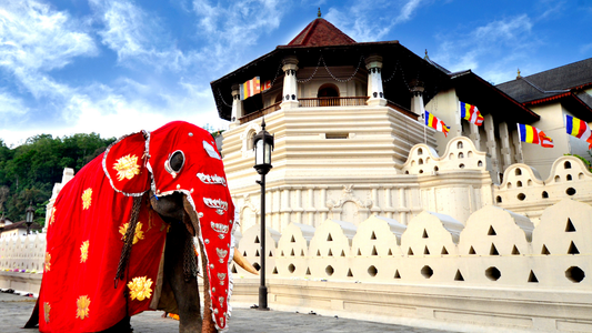 Srilanka