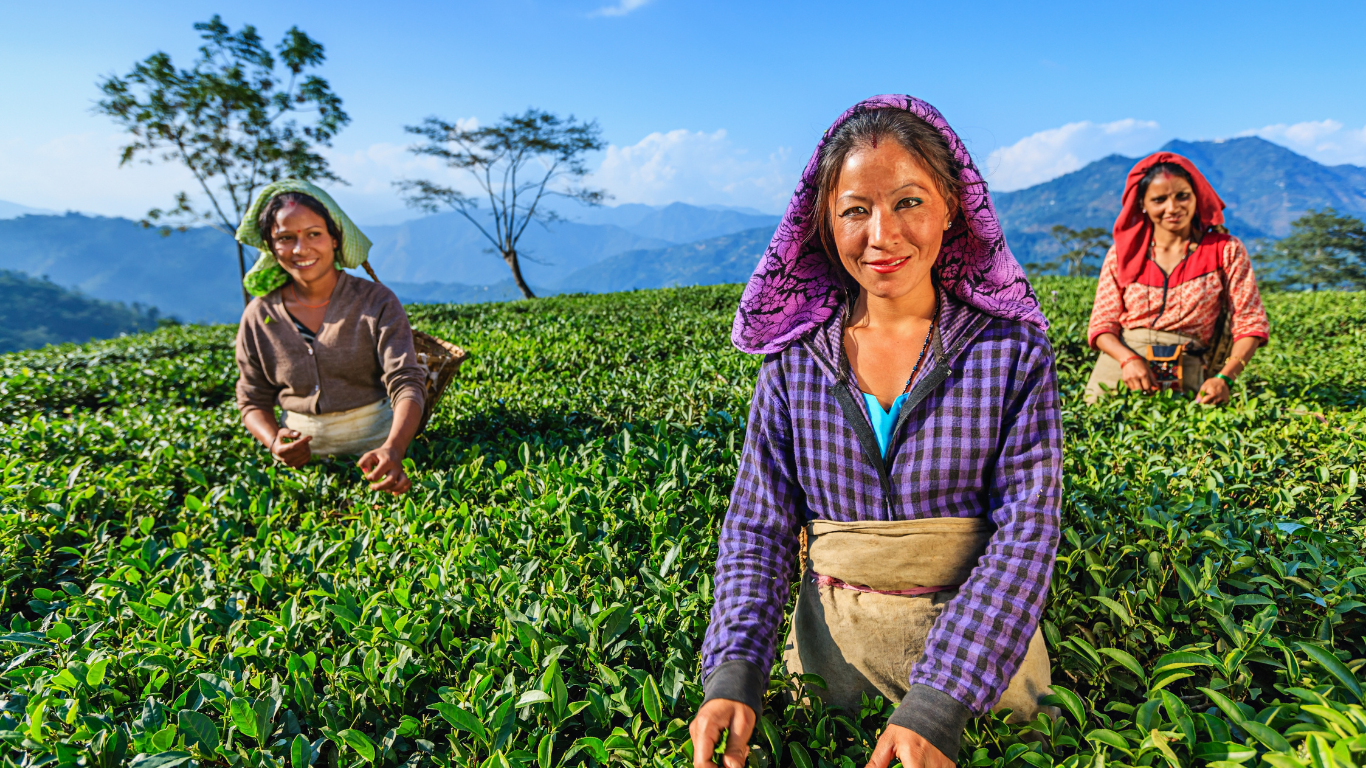 Sikkim & Darjeeling