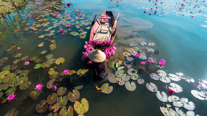Vietnam