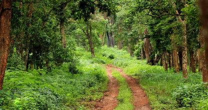 Koynanagar: Stay in Dam View Standard Room  + Campfire + All meals (Veg/Non-veg)