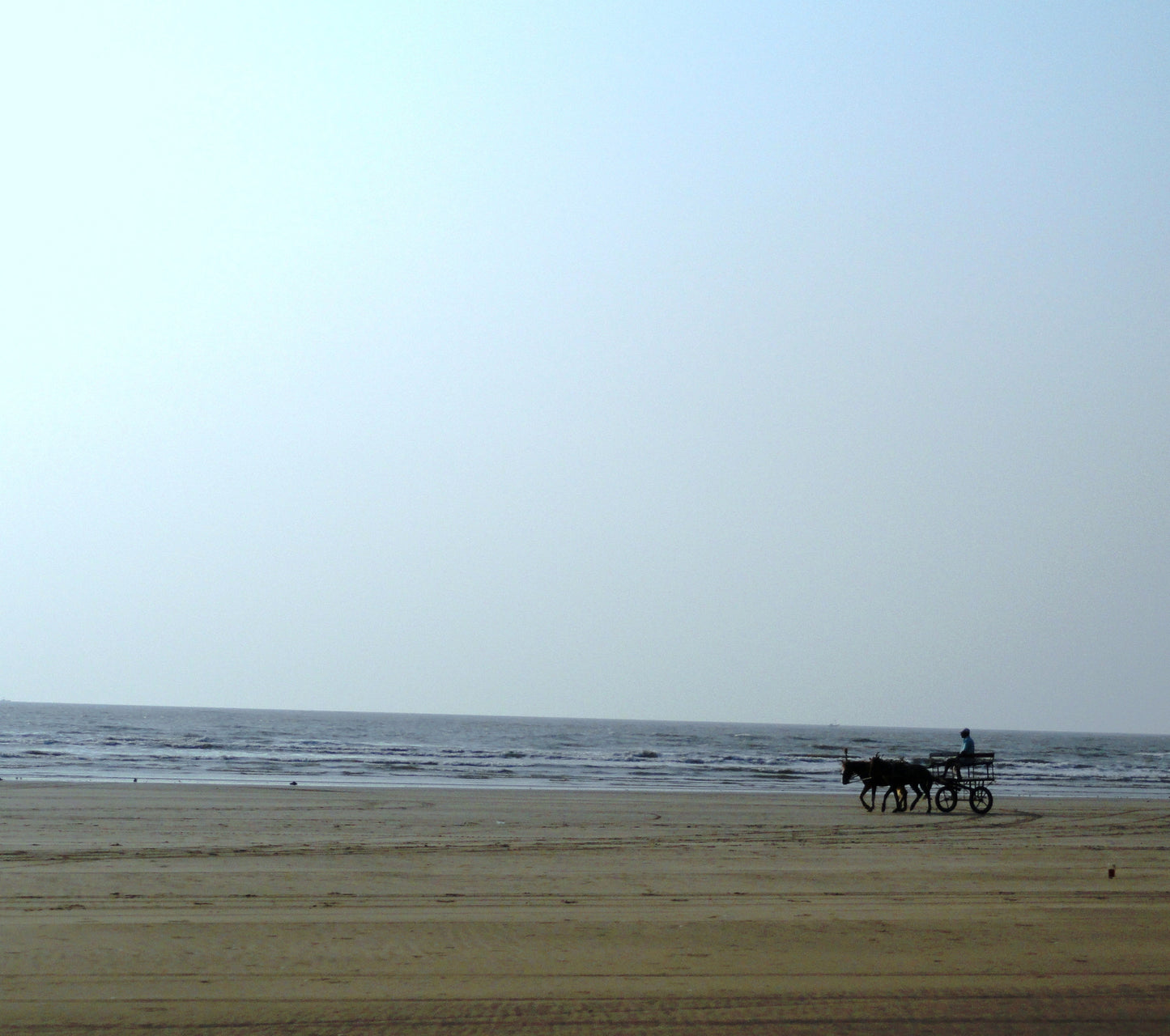 Nagaon Beach (Alibaug) : Stay in standard room with all meals (Veg/Non-Veg), Swimming Pool & MORE!