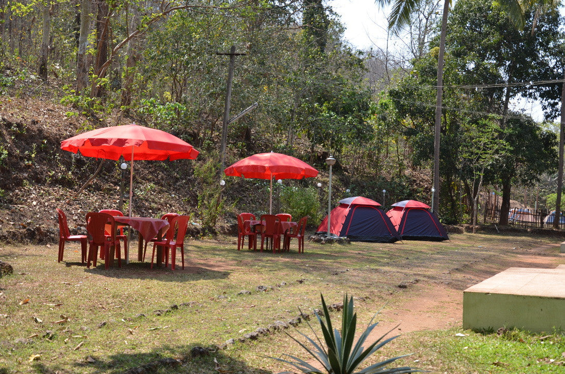 Dandeli: Stay in Dandeli Nature Camp, Jungle trail, Night Camp Fire with Music, All Meals (Veg/Non-Veg) & MORE!