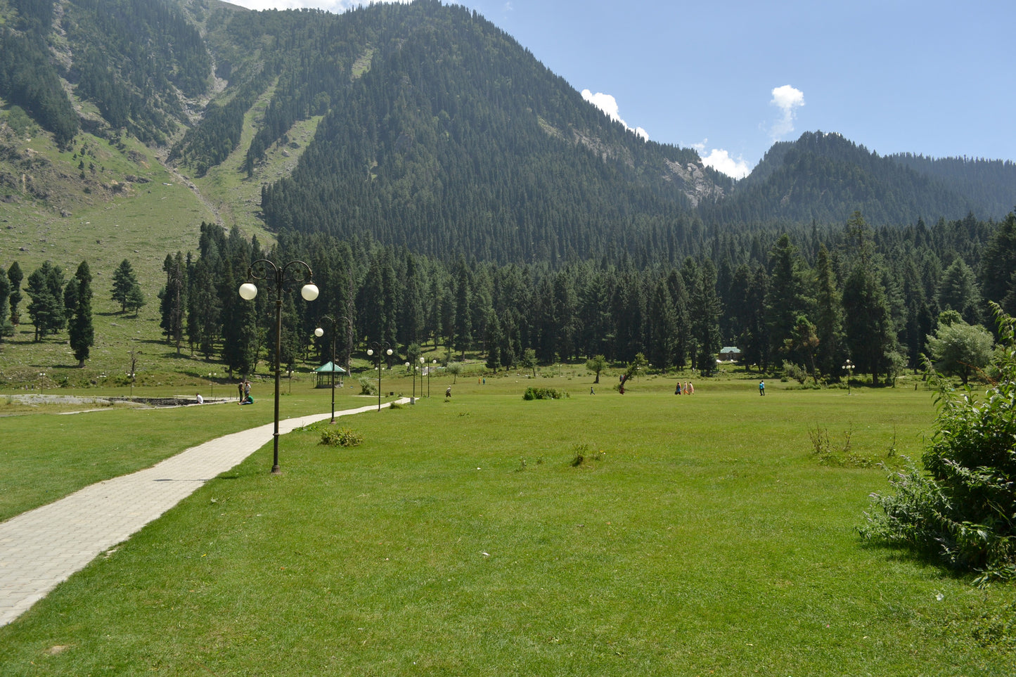 Kashmir Special (5 nights / 6 days) - Stay in premium houseboat, 3 Star hotel, Sightseeing & More!