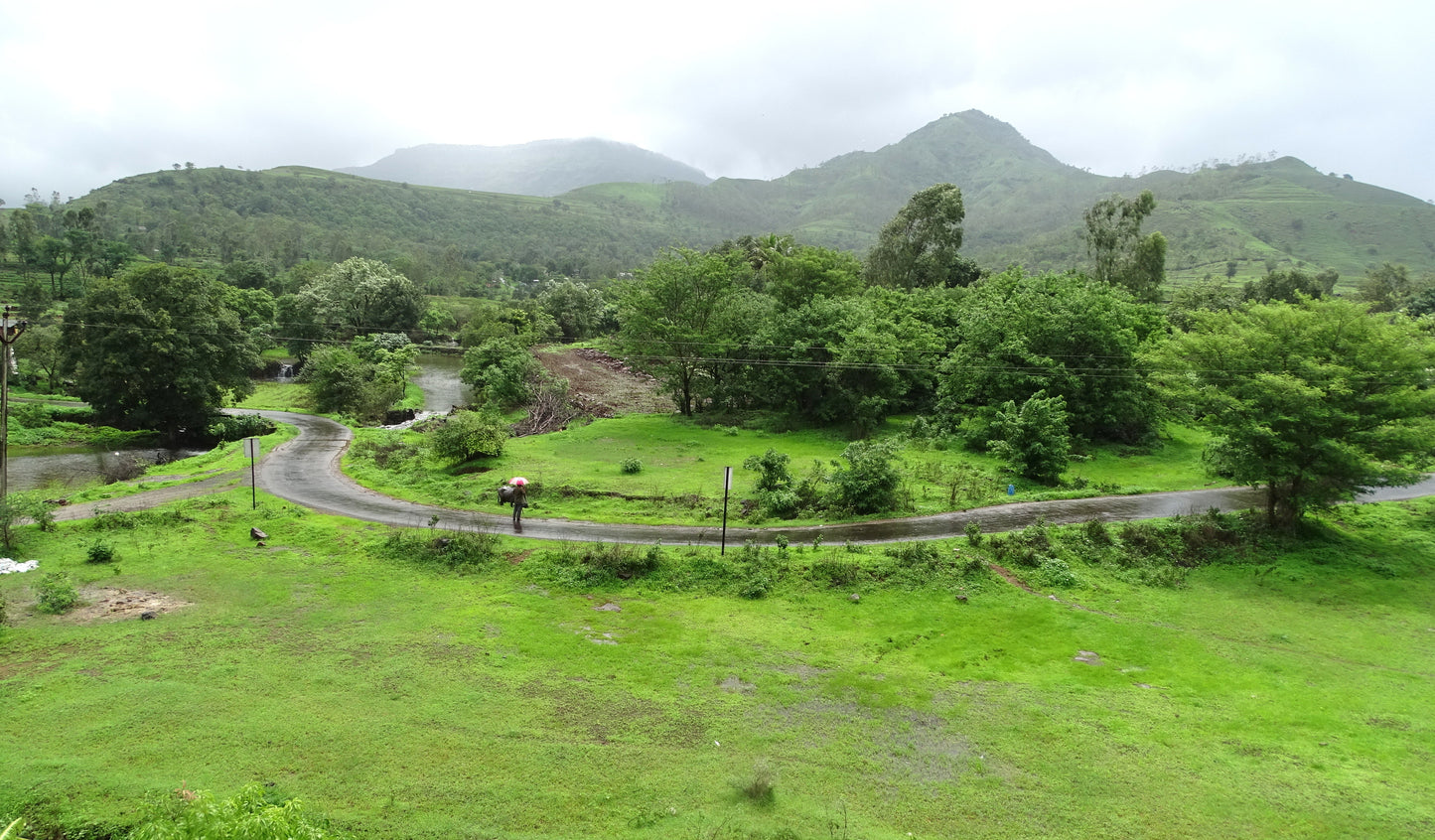 5BHK Non-AC (+1child bedroom) Villa (Backwater view ) (Bungalow No -  # 8)