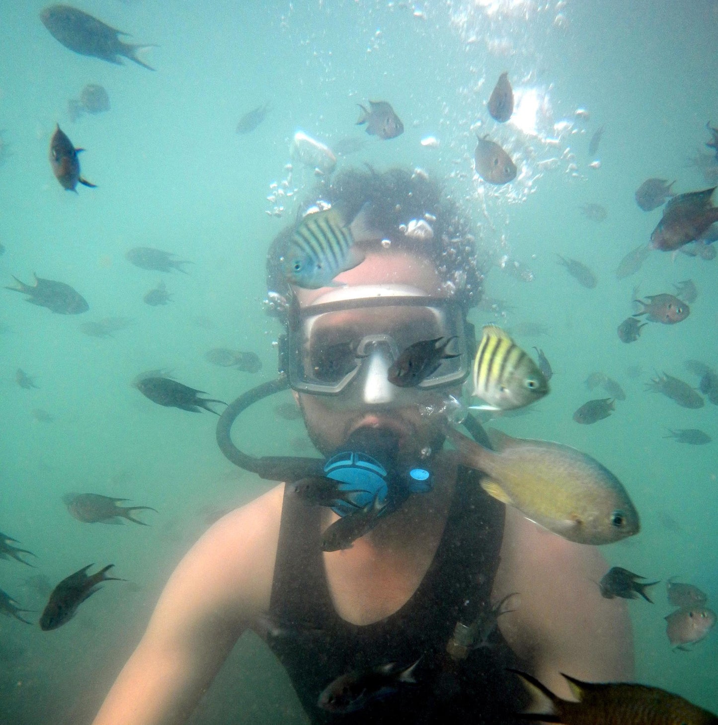 Tarkarli: Scuba Diving & Adventure Water Sports.