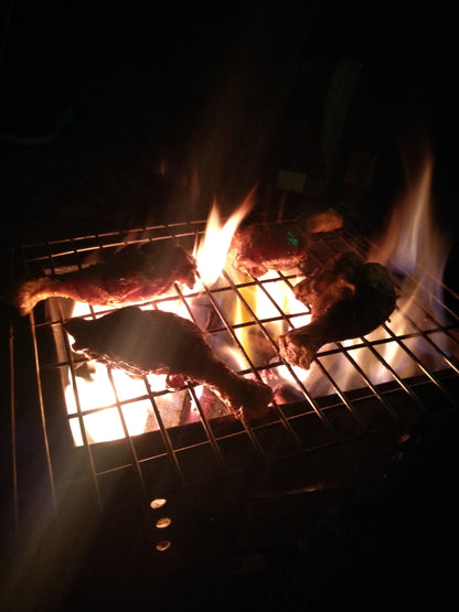 Rohida Farm Camping (Ambawade) : Stay in Tent  Night Camp Fire with Music, All Meals (Veg/Non-Veg) & MORE!