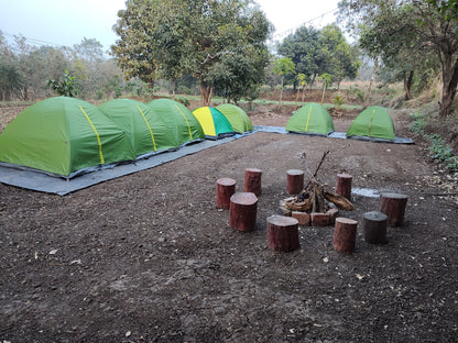 Rohida Farm Camping (Ambawade) : Stay in Tent  Night Camp Fire with Music, All Meals (Veg/Non-Veg) & MORE!