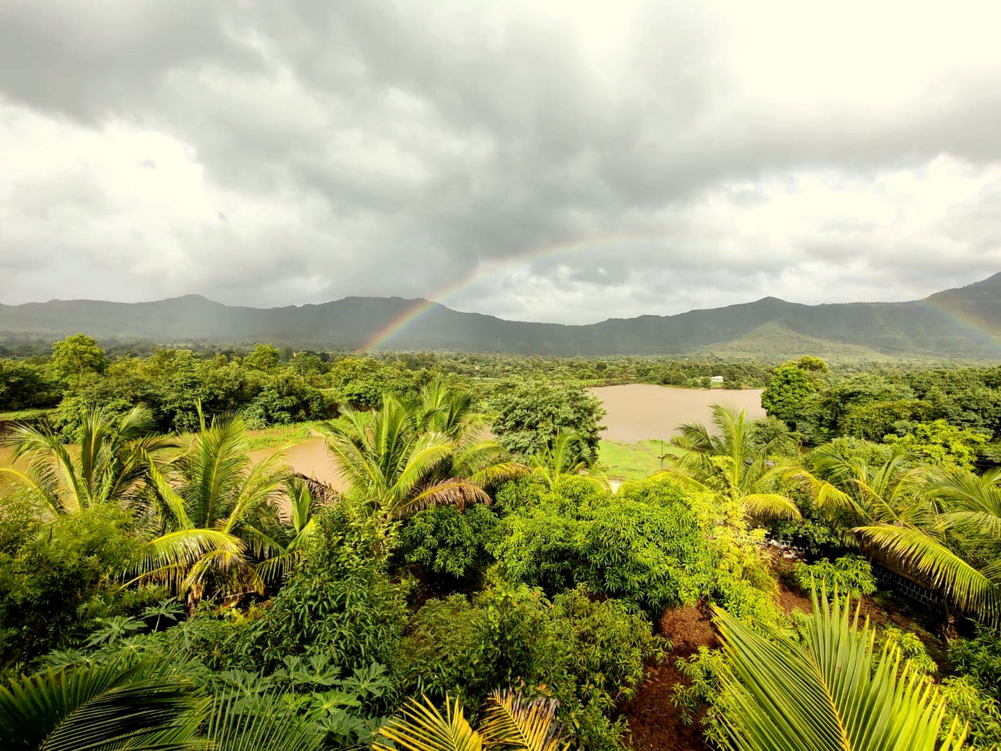 Mhakoshi (Bhor)- Backwater view resort with private water fall, Stay & 100 + Exclusive Plants
