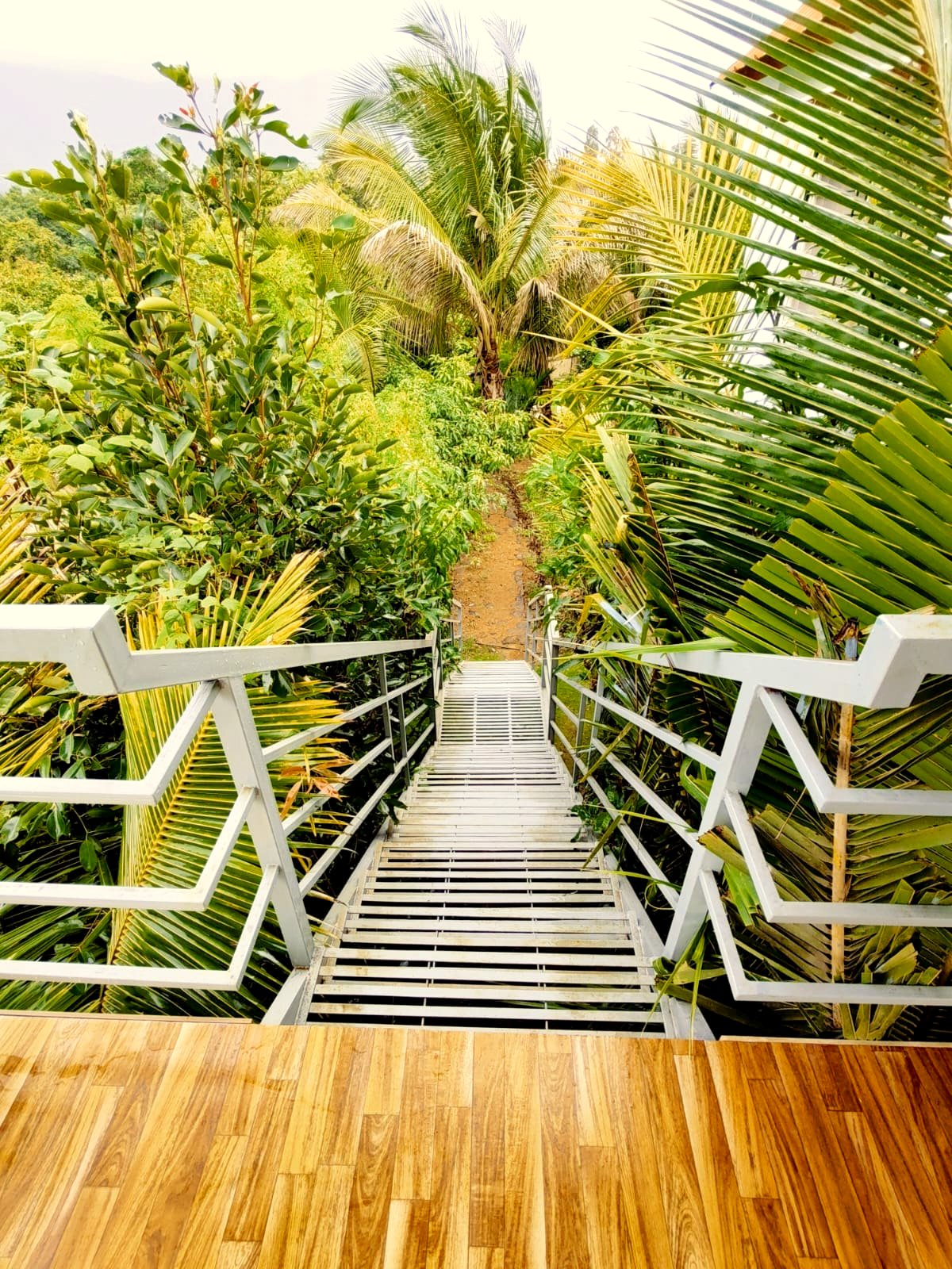 Mhakoshi (Bhor)- Backwater view resort with private water fall, Stay & 100 + Exclusive Plants