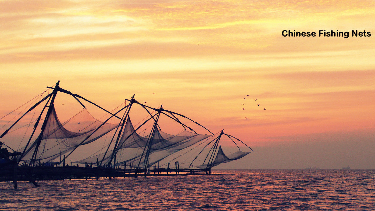 Kerala (6N/7D): Stay in 3 Star Hotels + 2 Nights in Munnar + 2 Nights in Thekkady + 1Night stay in AC Deluxe Houseboat at Alleppey (Kerala Backwaters) + 1 Night in Cochin & More!
