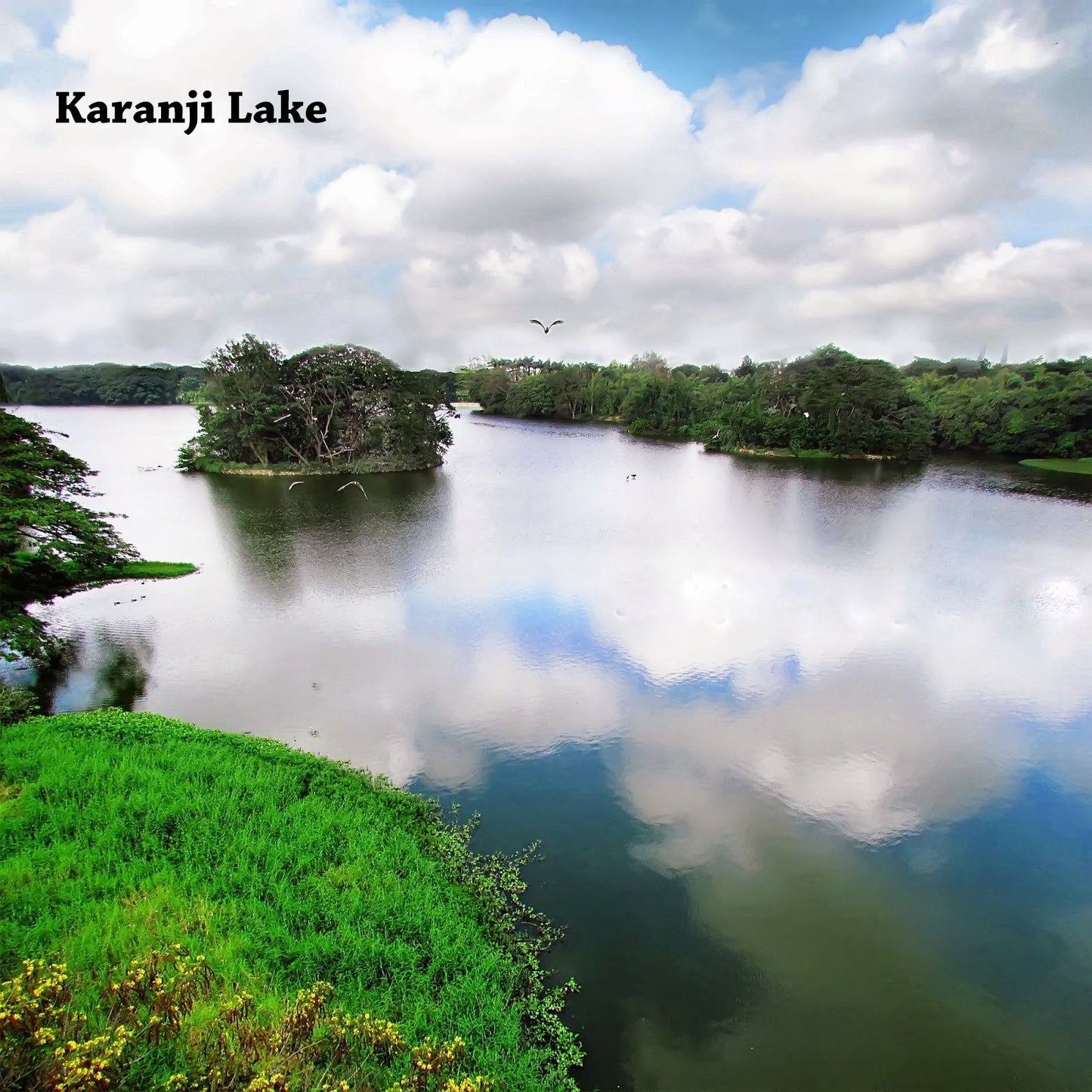 Coorg (Scotland of India):- 4Nights / 5Days: Stay in Lo Holidays Verified Luxury Resort/Hotel + Mysore/Coorg Sightseeing  & More!