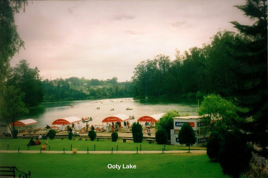 Ooty(queen of hill stations):-2Nights / 3Days: Stay 3 Star Hotel + Ooty Sightseeing  & More!